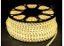 Led лента SMD 5050/60 (IP67) 220V (3chips)
